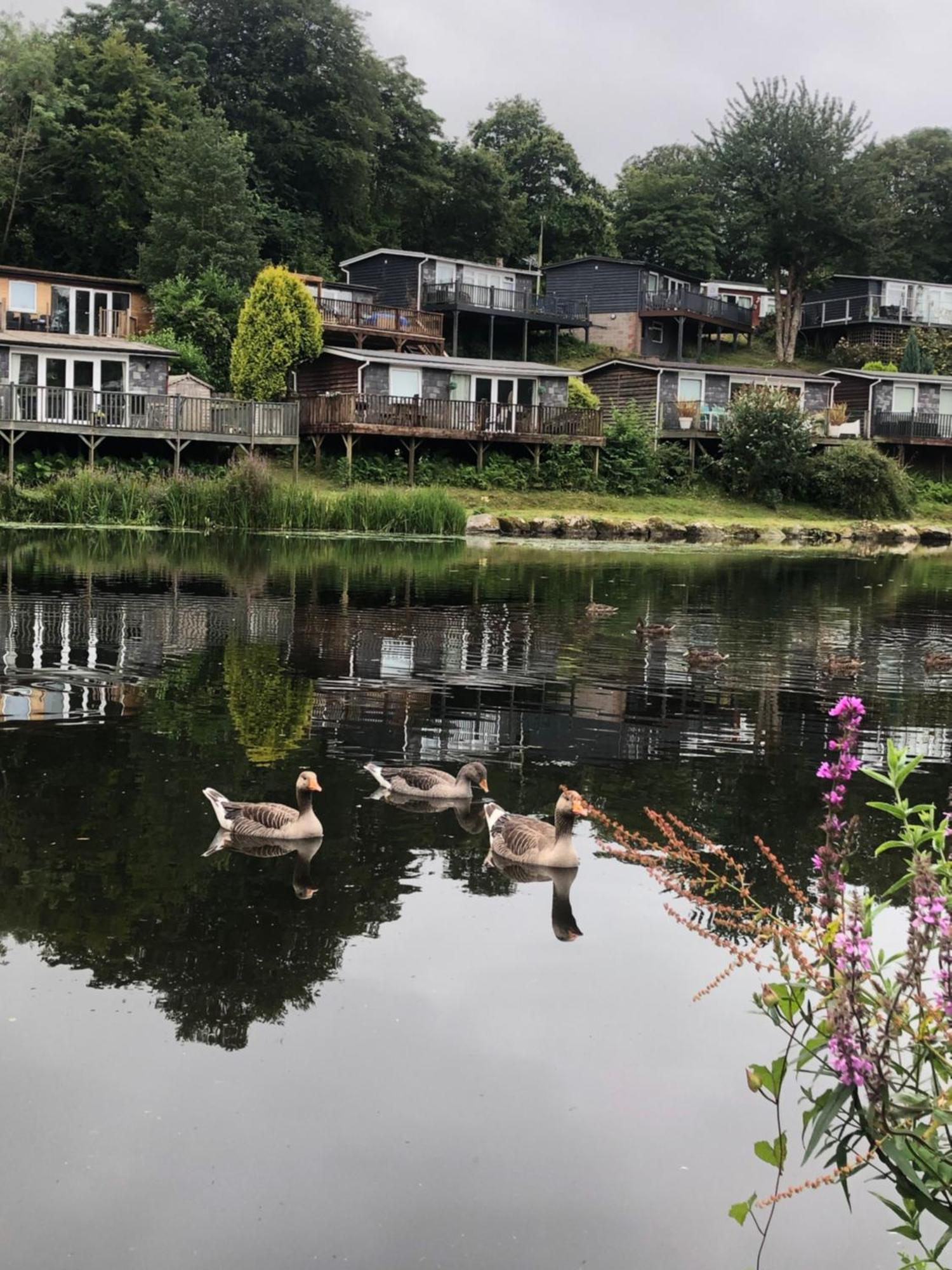 Chalet 64, Lakeside, Glan Gwna Holiday Park Caernarfon Exterior foto
